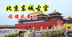 日本无码露出中国北京-东城古宫旅游风景区